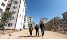 [六月征文]老杨，你好！老杨，再见！_1200字