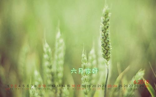 [六月随笔]您好！再见！ _900字