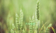 [六月征文]你好！再见！_900字