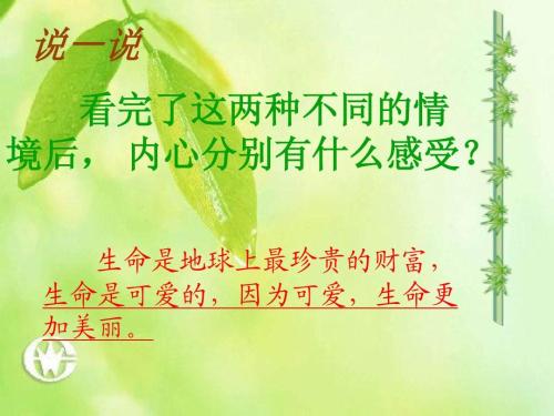[PK赛]关于人生的构图：人生的色彩_700字