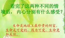 [PK赛]关于生命的作文：生命的色彩_700字