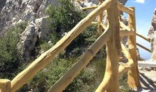 白石山游记_500字