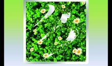 我小小的理想_900字