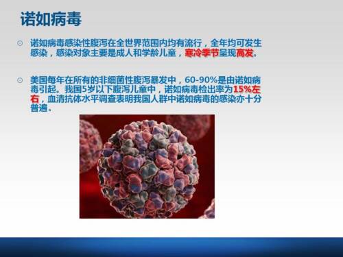virus_900字的危害