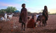 挤牛奶的小女孩