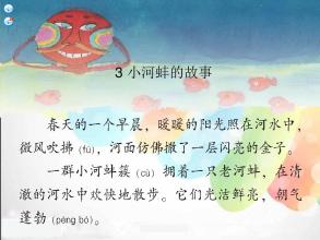 小贻贝的故事