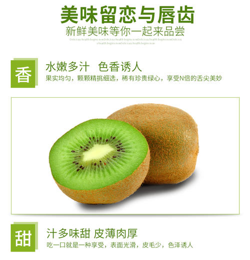 新绿・心绿_500字