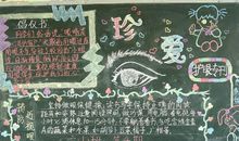 [PK赛]关于生命的作文：依米花开_750字