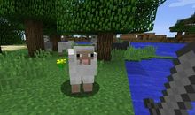 我的世界历险记（15）_800字