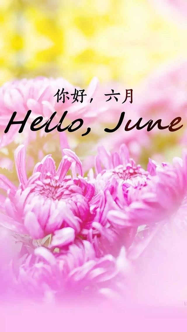 [6月论文]您好，再见_750字