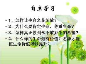 [PK赛]关于人生的构图：让生命之花绽放_800字