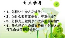 [PK赛]关于生命的作文：让生命之花绽放美丽_800字