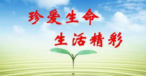 [PK赛]关于人生的构图：感谢您的人生_550字