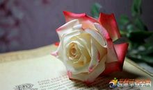 快乐名言：因快乐而快乐_750字