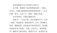 [PK赛]关于秋游的作文：找秋天_800字