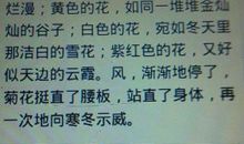 关于秋分的作文：秋分_700字