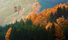 关于秋分的作文：秋分时节_1200字