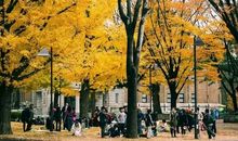 四季的递嬗_1200字