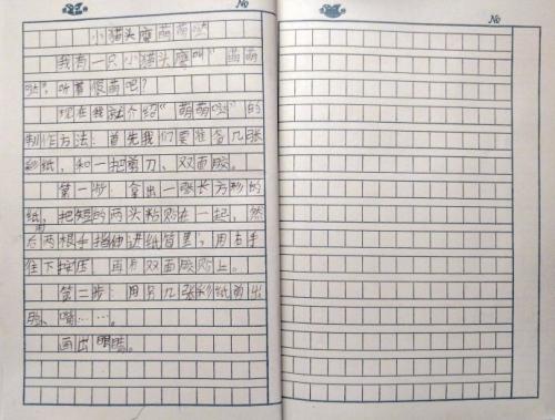 二年级中考作文：orange_300字