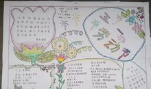 关于五一劳动节的英语作文：快乐的五一劳动节_1000字