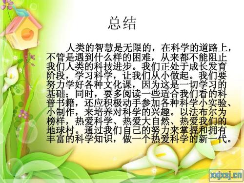 [PK赛]一篇关于后期阅读的文章：“昆虫” post-reading_1200个单词