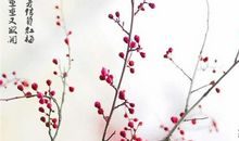 [PK赛]关于冬天的作文：冬天的颜色_800字