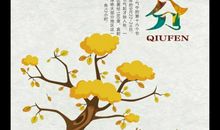 关于秋分的作文：今天秋分_400字