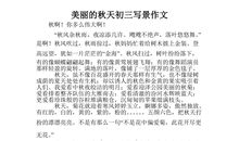 四年级写景作文：秋色_450字