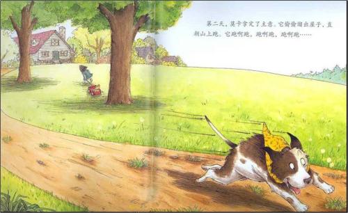 当您遇见狼时，请说...（2）