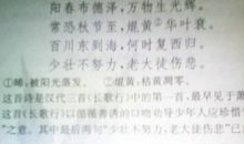 关于时间的作文：珍惜时间才会取得成功_550字