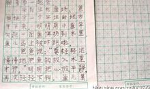 关于夏天的作文：美丽的夏天_400字