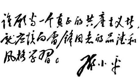 我从雷锋中学到200字