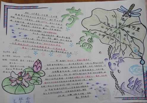 关于夏天的作文：summer_300字的味道