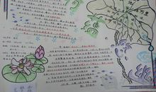 关于夏天的作文：夏天的滋味_300字