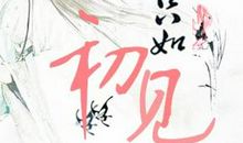 人生若只如初见_550字