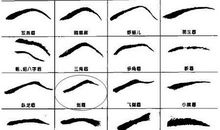 用什么办法能使眉毛长在眼睛下面？(2)