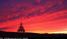 傍晚，那盏灯_350字