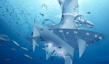 未来的海洋_1200字