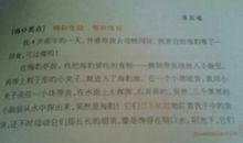 【微作文】诺_150字