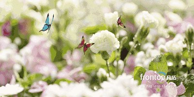 心中的香_800字