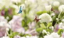 心灵深处的花香_800字