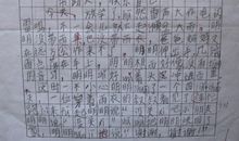 我的小伙伴_200字