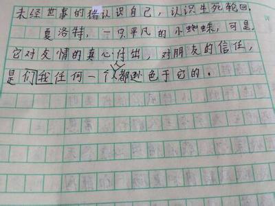 [微观组成]承诺的承诺呢？ _100字