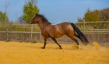 为什么老王家的马能吃掉老张家的象？(2)