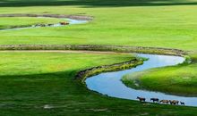 最美的夏天之初入学_900字