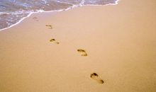 捡拾脚印_1200字