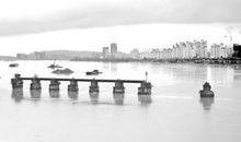 老母猪过河时，桥为什么塌了？(2)