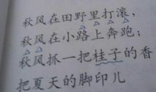 原来我如此喜欢写作_550字