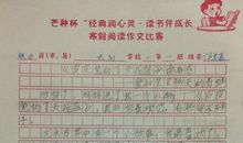 初三状物作文：树_800字