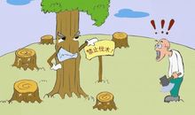 [PK赛]关于环保的作文：那一抹浓浓的绿意_800字